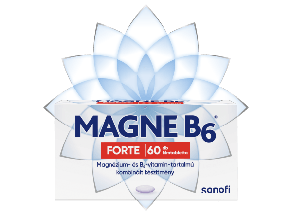 Magne B6 Forte